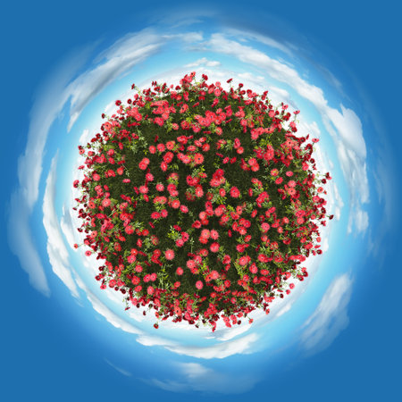 Miniature planet of small red flowers and atmosphere with clouds