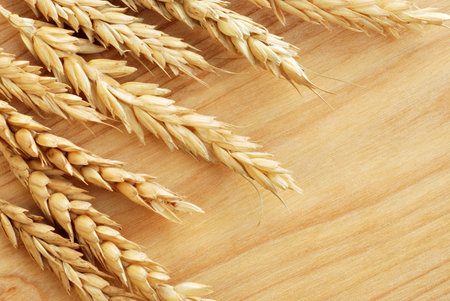 Wheat spikes on wooden cutting board with copy spaceの写真素材