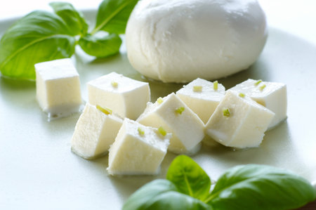 Mozzarella cheese with basil on a white background. Selective focus.の写真素材