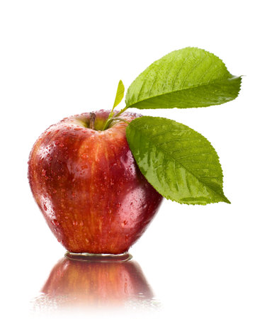 fresh red apple with water dropsの写真素材