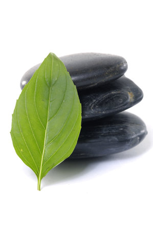 Balanced black zen pebbles and a young green leafの写真素材