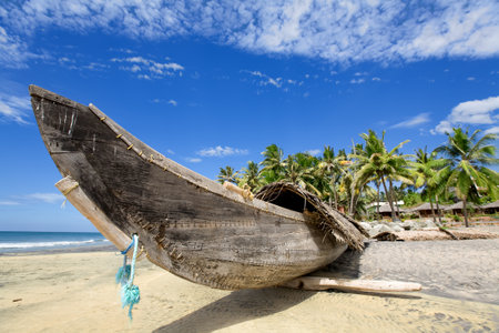 Fisherman boat on the sunny beach with green palm near oceanの写真素材