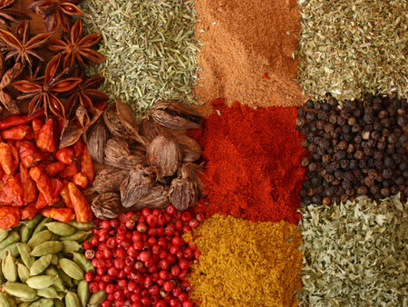 Various spices close upの写真素材