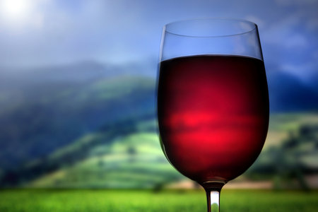 "Wine glass outdoors, green field in the background"の写真素材