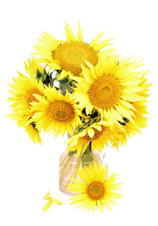 "Decanter with sunflower, isolated white background"の写真素材