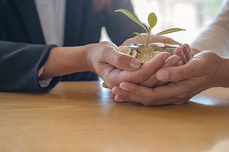 Businessmen teamwork hands with trees growth up on coin and banknote to profit investment mutual fund finance and business. Help and Collaboration Business Concept.の写真素材