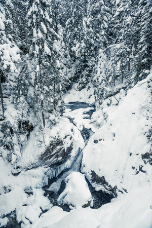 Winter view on the almost frozen creek between the mountains and trees covered in snow.の写真素材