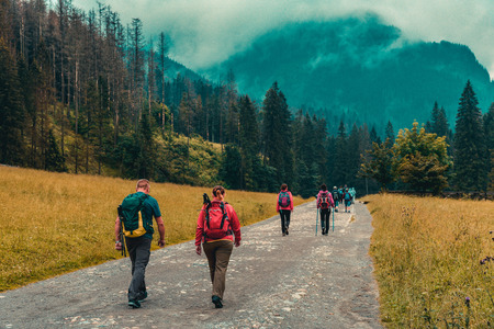 Hikers / tourists with the backpacks walking on the trail leading towards the mountains. Autumn / fall season.の写真素材