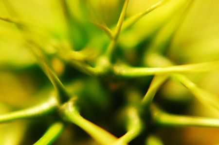 you can see but you can't touch..の写真素材