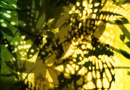 Flora abstract background pattern.の写真素材