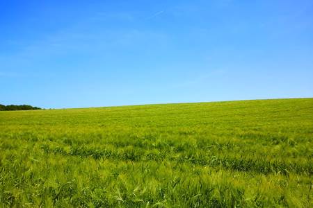 Green landscapeの素材
