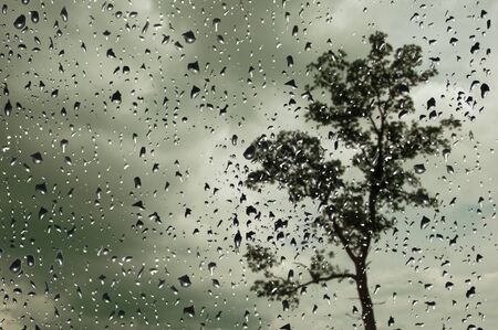 Raindrops on the glass pane with a tree in the backgroundの写真素材