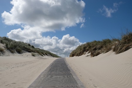 A path between the dunes on the beach on Norderneyの写真素材