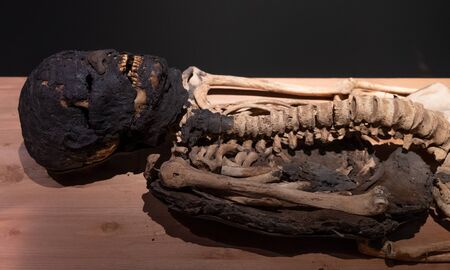 A skeletonized Egyptian mummy of a manの写真素材