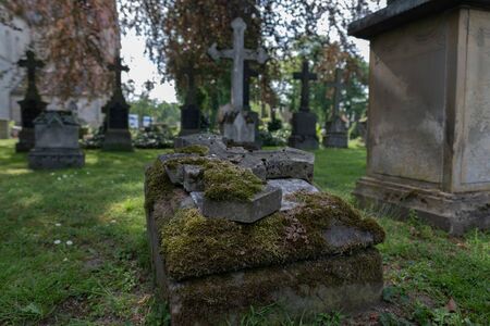 Detail of a moss-covered grave in an old cemeteryの写真素材
