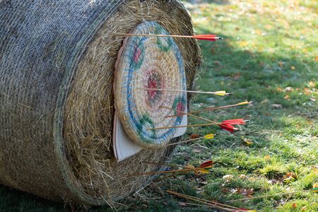 Detail of a target attached to a bale of straw with arrows stuck in it