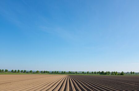 A field plowed with deep furrowsの写真素材