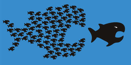 Concept of unity is strength with a group of small fish that team up to attack a huge fish.のイラスト素材