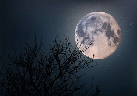 A moonlit night against a starry sky background, seen through the branches of a tree in the heart of...