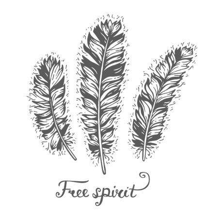 Poster with hand drawn 3 decorative ethnic feathers with text "Free spirit". Freedom concept. Boho and hippie style. American indian motifs. Vector illustration. Tribal theme background with feathers.のイラスト素材