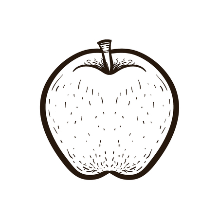 Hand draw sketch style fruit apple isolated on white background. Bio food vector illustration collection. Coloring book for adultsのイラスト素材