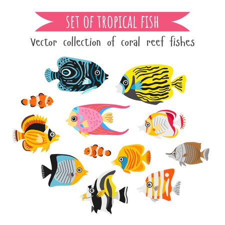 Set of flat style corals fish. Underwater animalのイラスト素材