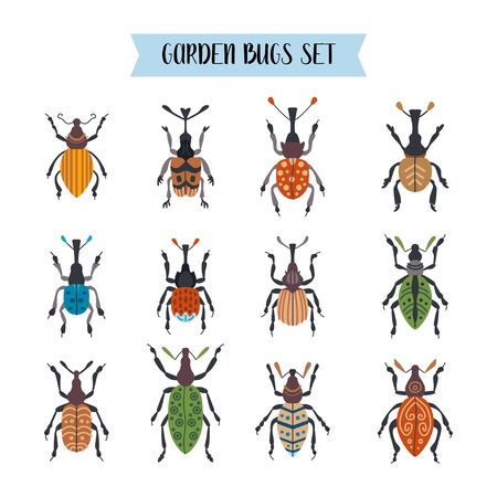 Set of beetles isolated on white backgroundのイラスト素材