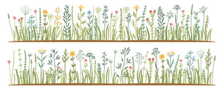 Green Grass flat icon set. Wild meadow herbs, flowers isolated on white background, Leaf borders, flower elements, nature background vector illustration. Green land concept for template designのイラスト素材