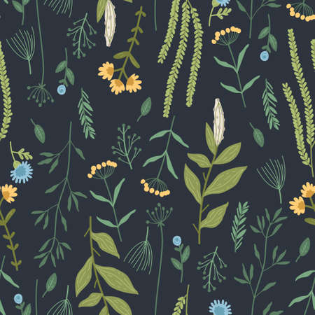 Beautiful watercolor wild field flowers seamless pattern. Floral repeat print background with colorful herbs and flowers. Vector illustrationのイラスト素材