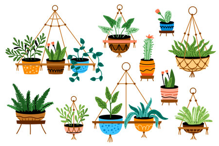 Potted plants set. Interior houseplants in planters, baskets, flowerpots. Home indoor green decor. Different succulents, cacti, foliage. Flat graphic vectorのイラスト素材