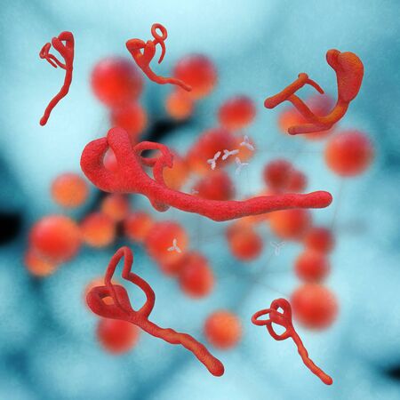 Ebola virus - 3d rendered illustration