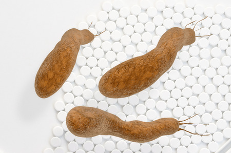 Helicobacter pylori - 3d rendered illustration