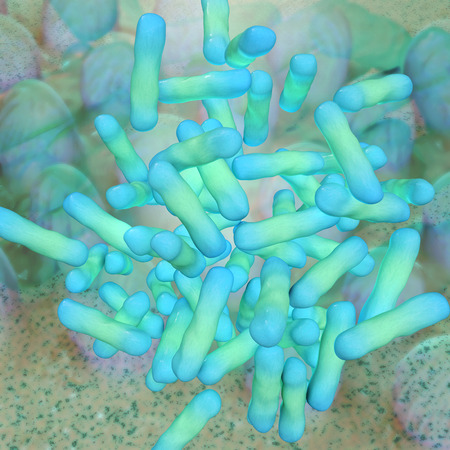 Shigella dysenteriae - 3d rendered illustrationの写真素材