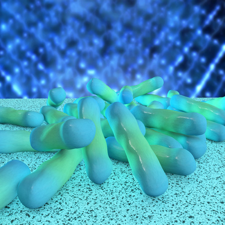 Shigella dysenteriae bacteria - 3d rendered illustrationの写真素材