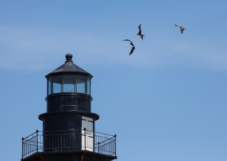 Three Magnificent Frigatebirds are frolicking in the wind above the old lighthouse at Fort Jefferson located in the Dry Tortugas.の写真素材