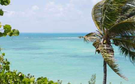 Bahia Honda State Park in the Florida Keys has coastline on bothの写真素材