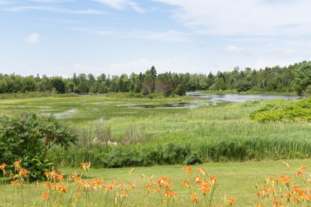 This image shows a vibrant watershed area near the northernmost coast of Maine.の写真素材