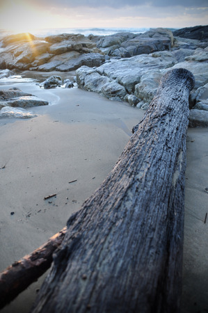 beach landscapeの写真素材