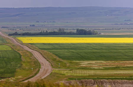 Country road and farmlandsの写真素材