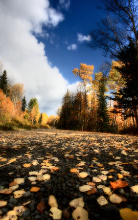 clouds and autumn leaves along British Columbia backroadの写真素材