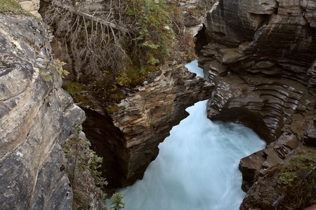 Gorge at Athabasca Falls in Jasper National Parkの写真素材