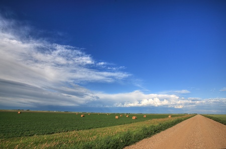 Hay bales in field beside Saskatchewan country roadの写真素材