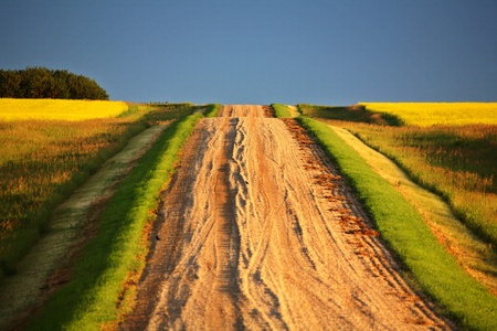 Beautiful colors along a Saskatchewan country roadの写真素材