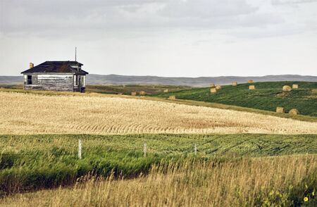 Rural Saskatchewan in summer with crops Canadaの写真素材