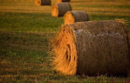 Hay bales at sunset in Saskatchewan Canadaの写真素材