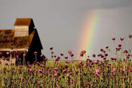 Prairie Storm Clouds ominous weather Saskatchewan Canadaの写真素材