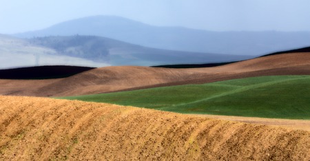 Palouse scenic Washington area farmland in springの写真素材