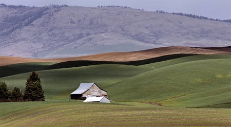 Palouse scenic Washington area farmland in springの写真素材
