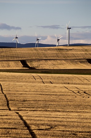 Wind Farm Canada Pincher Creek Rocky Mountains