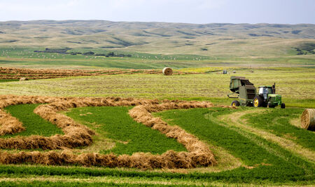 Farming Saskatchewan bales and baler in field swatheの写真素材